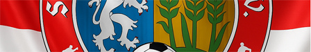 Testspielgegner gesucht